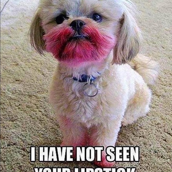 AVON - Picture 10 of 16